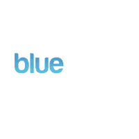Blueprint